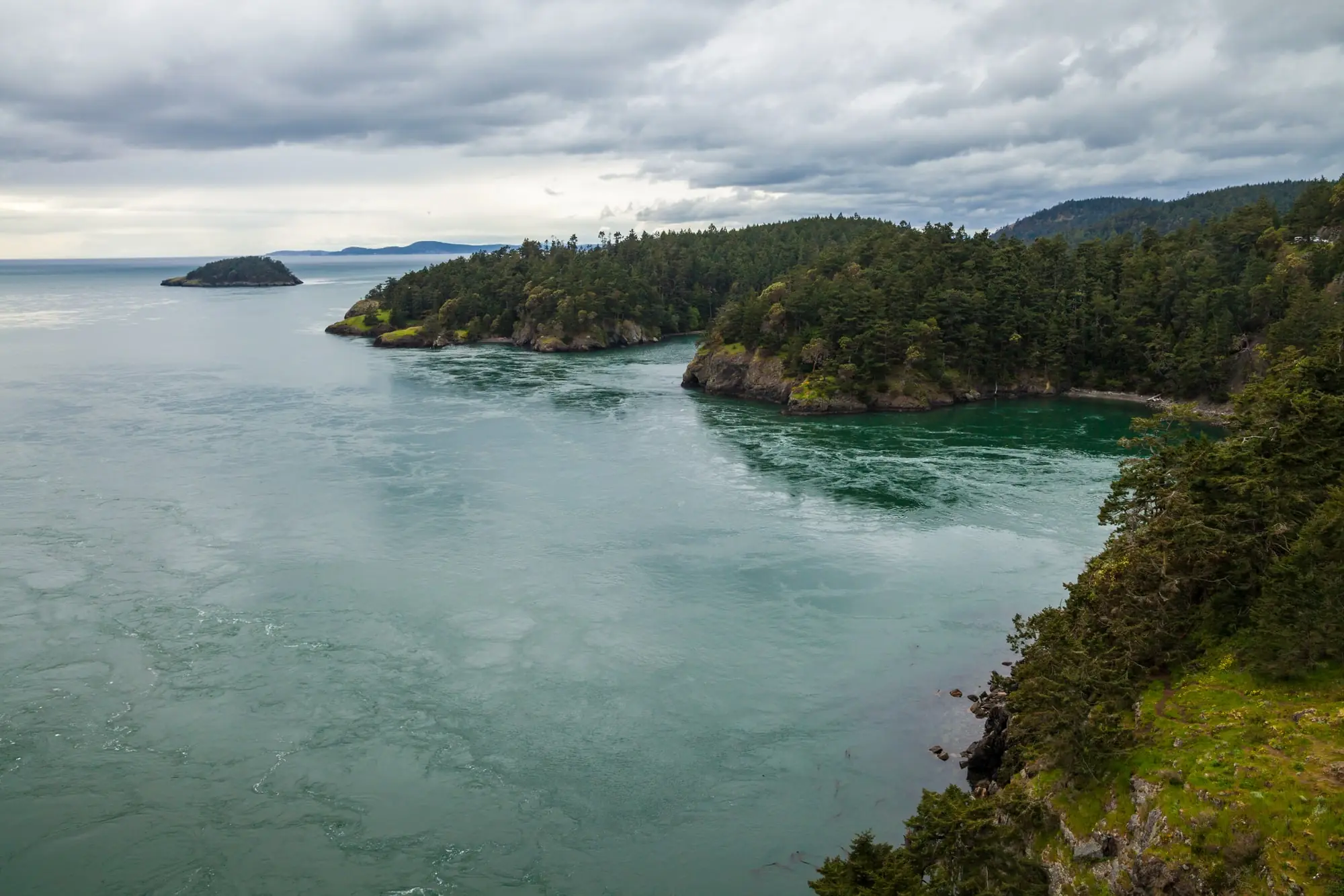 Scenic coastal landscape with lush green forests