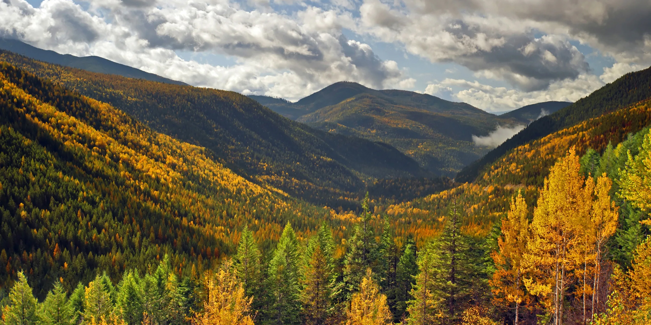 The Benefits of Building a Custom Home in Northwestern Idaho’s Natural Paradise