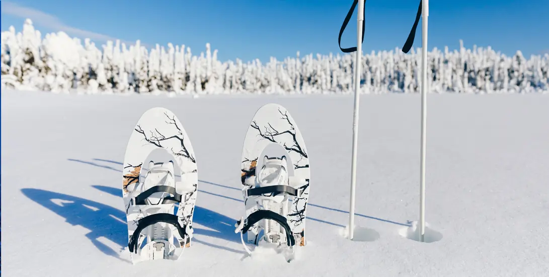 Snowshoes and poles on snowy landscape adventure